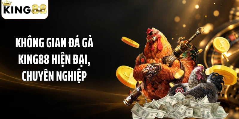 Không gian đá gà KING88 hiện đại, chuyên nghiệp